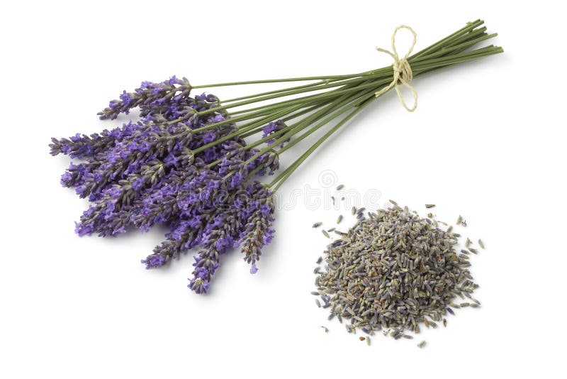 Lavanda roxa fresca e flores secas fotos de stock