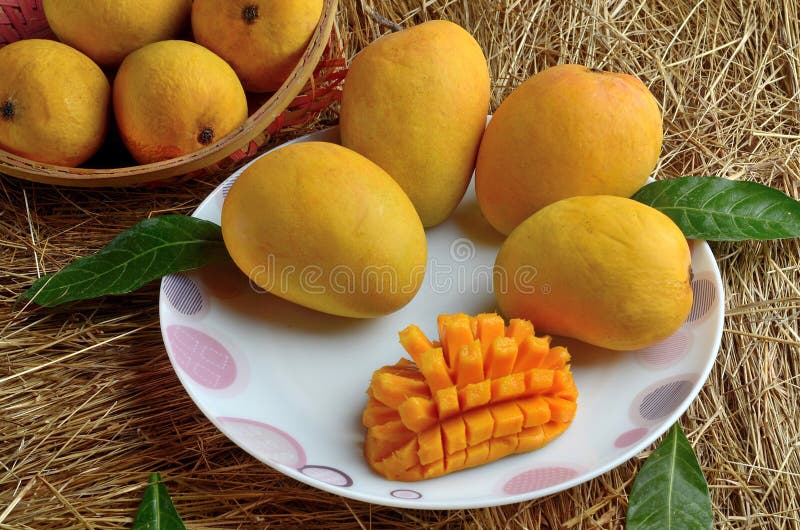 Alfonso mango royalty free stock images
