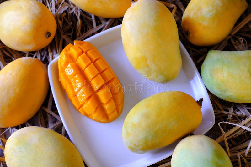 Alfonso mango stock image