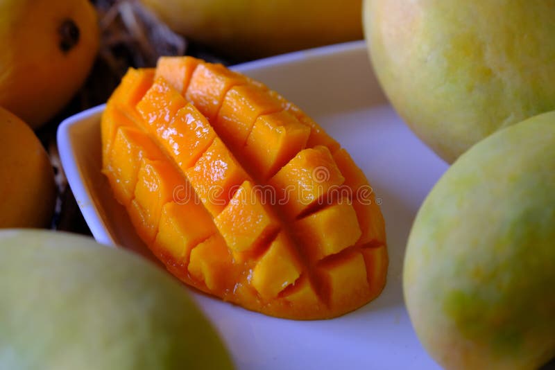 Alfonso mango royalty free stock photo