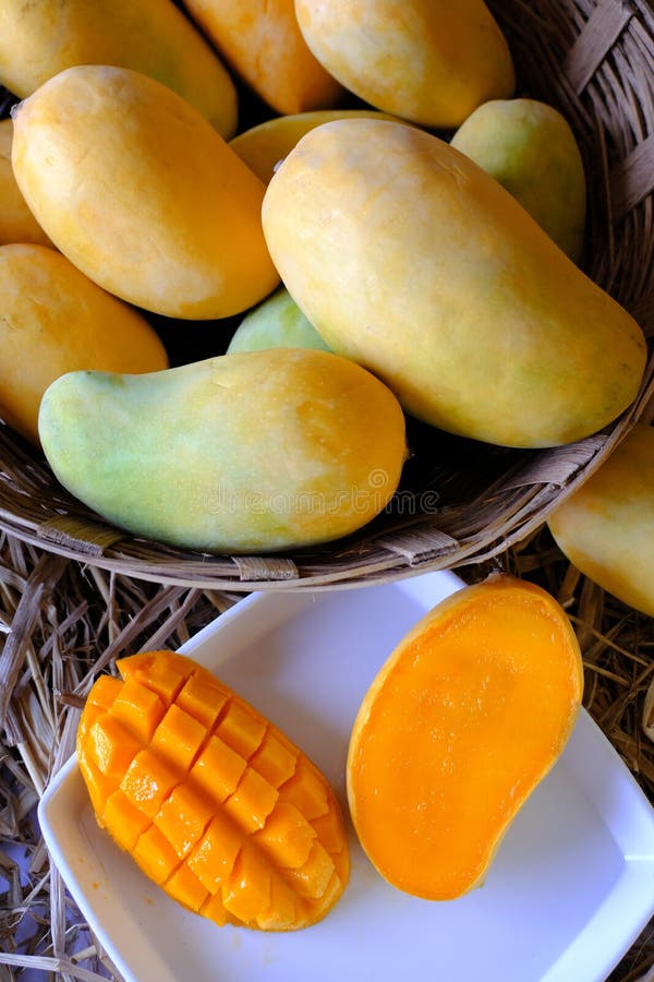 Alfonso mango stock photo