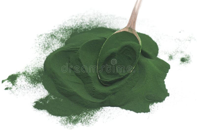 Alga proszek zdjęcie royalty free Alga proszek zdjęcie royalty free