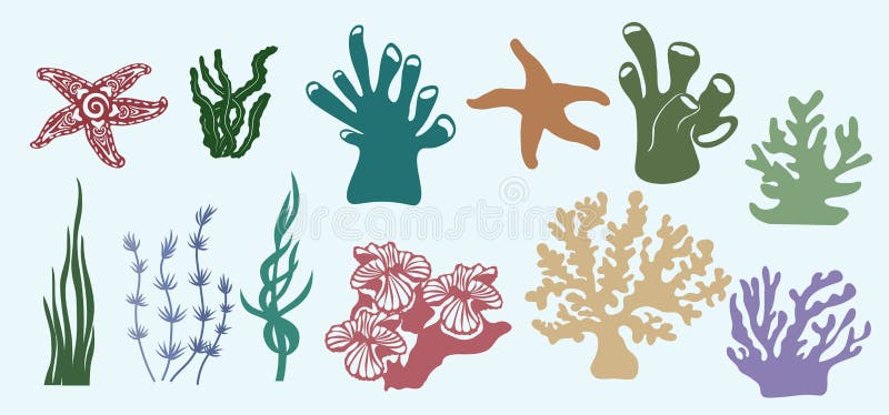 Algae, corals, Kelp, laminaria, Macrocystis, Brown alga, rockweed, Fucus, Posidonia. Vector illustration. Set of paper marine