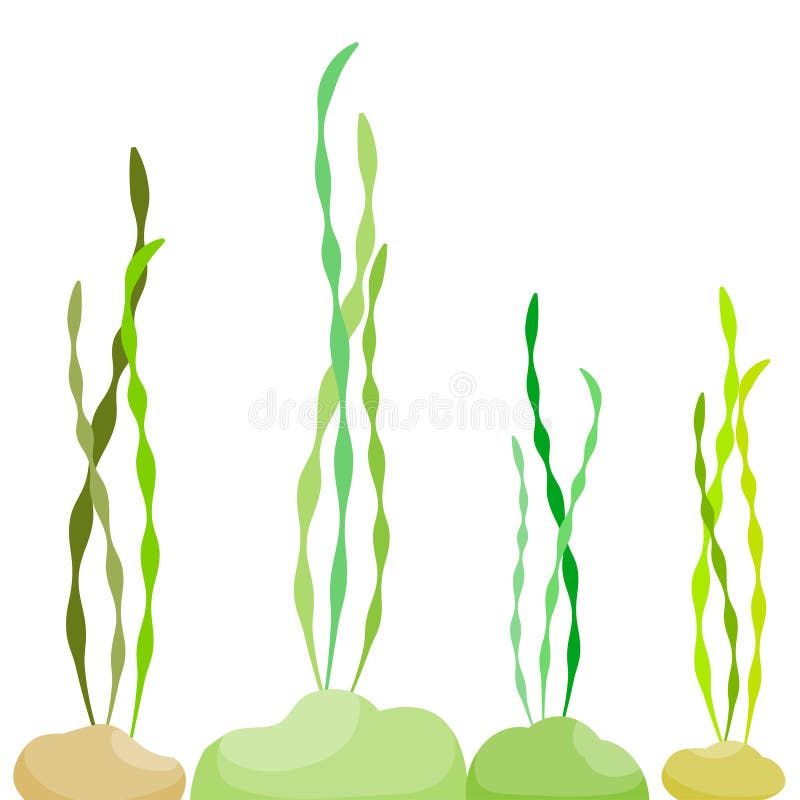 Algae in the sea stock vector. Illustration of cartoon - 44500466