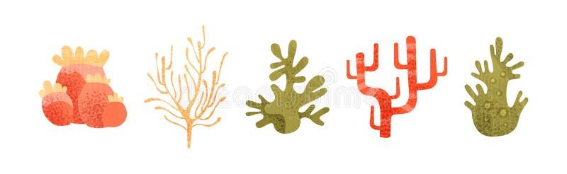 Algas y malezas marinas de un conjunto de vectores de colores y formas diferentes libre illustration
