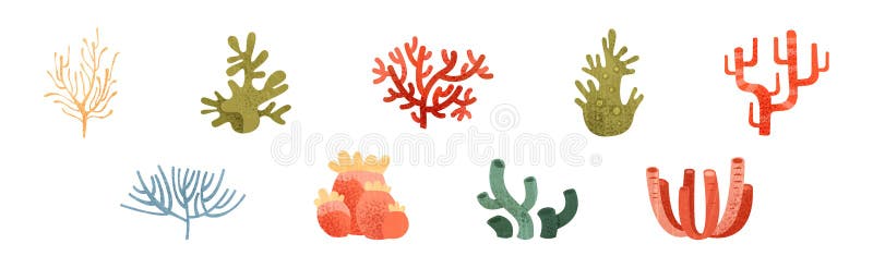 Algas y malezas marinas de un conjunto de vectores de colores y formas diferentes stock de ilustración