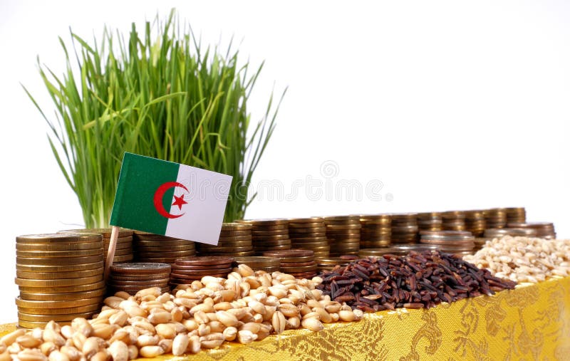 Algeria flag waving with stack of money coins and piles of seeds