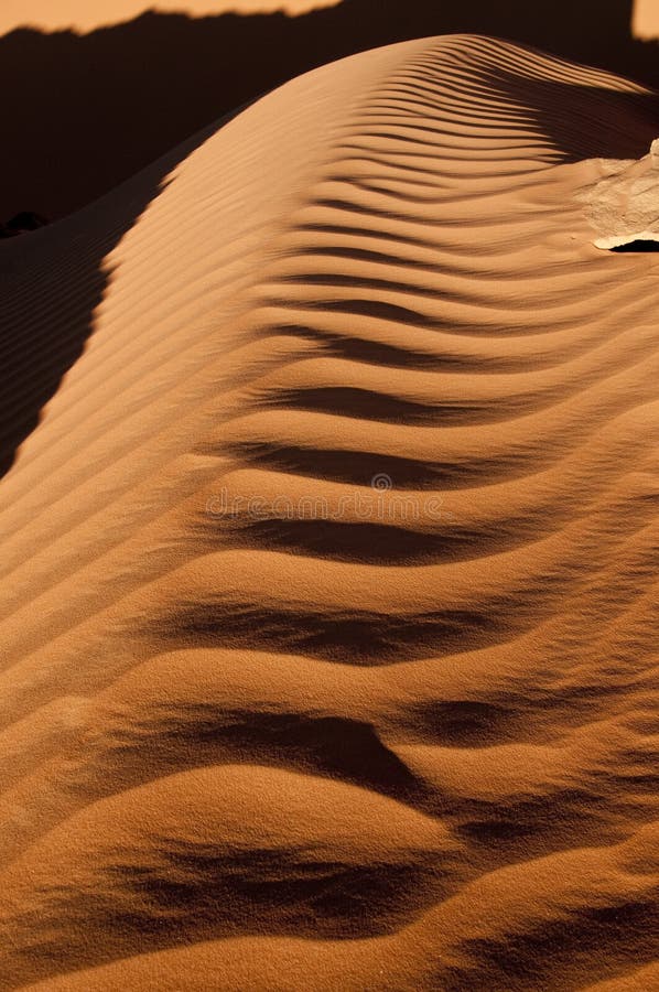 Algeria Sahara dune landscape light game