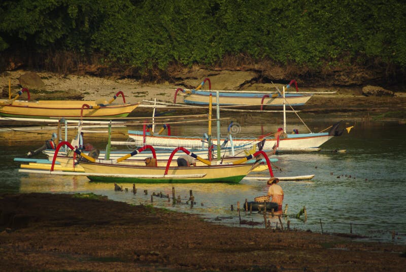 Algue cultivant sur l'île de Nusa Lembongan, Bali photos libres de droits Algue cultivant sur l'île de Nusa Lembongan, Bali photos libres de droits
