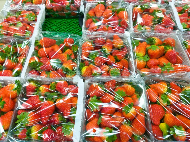 algumas caixas plásticas completas das morangos vermelhas envolvidas com plástico transparente em uma prateleira verde no mercado fotos de stock algumas caixas plásticas completas das morangos vermelhas envolvidas com plástico transparente em uma prateleira verde no mercado fotos de stock