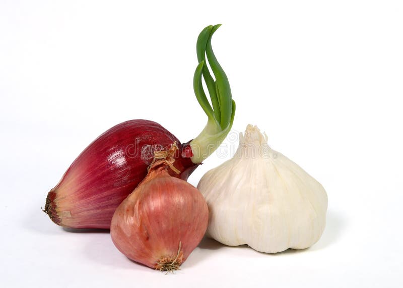 Shallots imagem de stock. Imagem de cebola, meio, naughty - 24677943