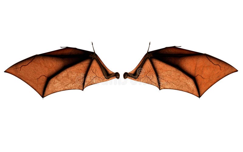 Ali Del Pipistrello, Ali Del Costume Con Il Percorso Di Ritaglio