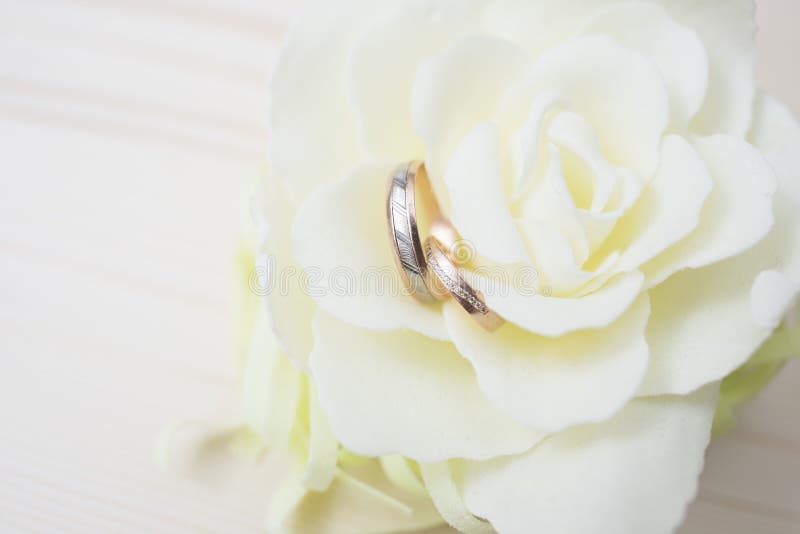 Alianças de casamento em um fim da flor acima foto de stock Alianças de casamento em um fim da flor acima foto de stock