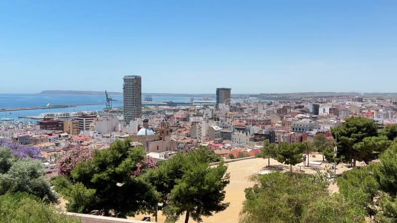 Alicante España 30 de mayo de 2025 : Vista panorámica de la ciudad costera con rascacielos modernos, flores vibrantes y océano ser almacen de video