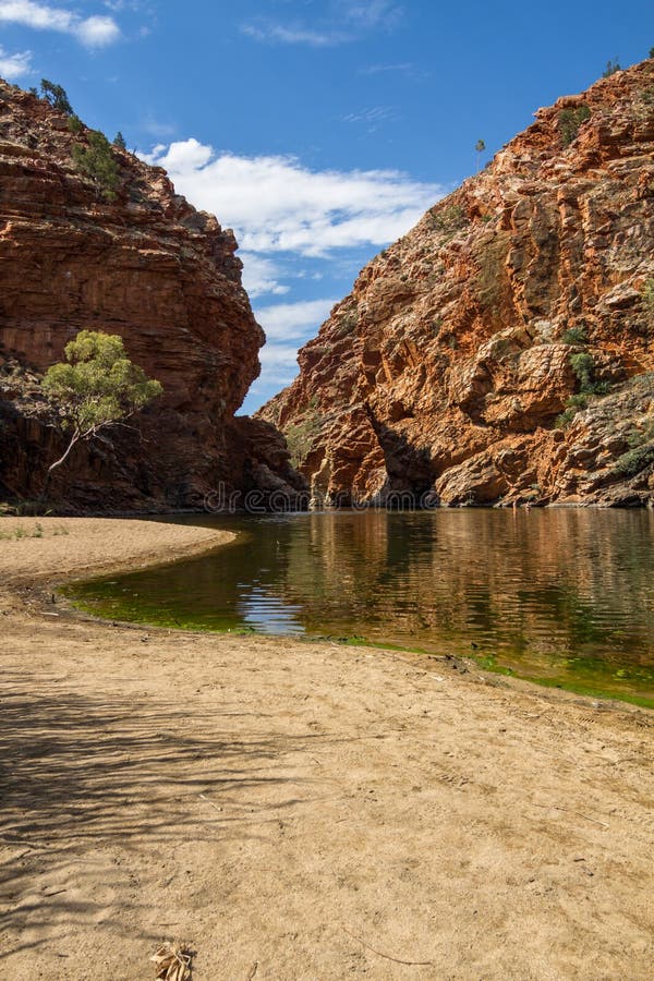 The 5 Best Waterholes for Swimming Around Alice Springs 