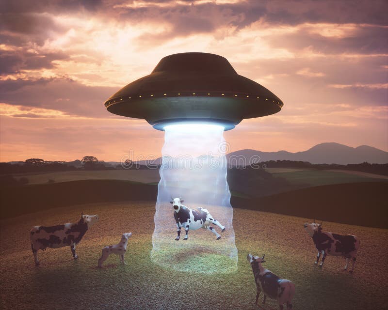 Cow on the farm being pulled by the tractor beam of the alien spacecraft. Cow on the farm being pulled by the tractor beam of the alien spacecraft.