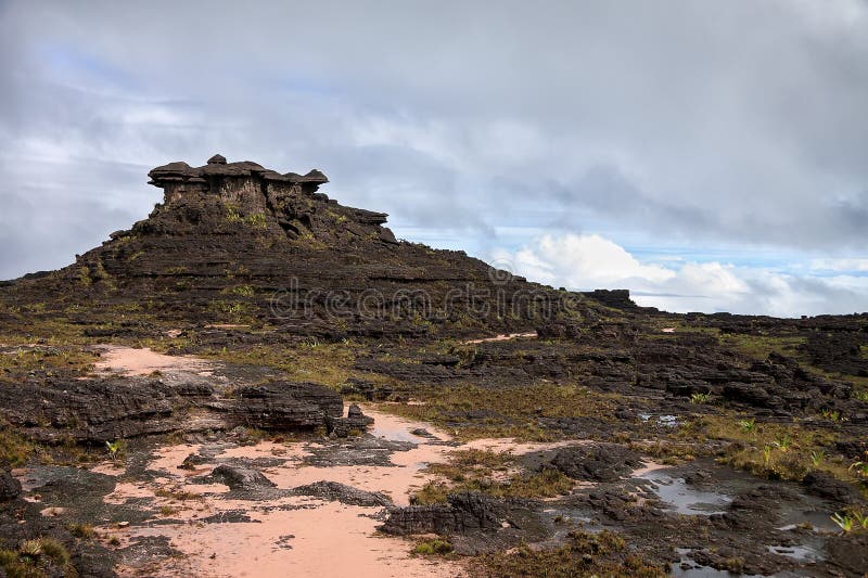 Alien looking like rocky terrain of mount Roraima with pink sand and endemic flora. Like rocky terrain stock images, royalty-free photos and pictures