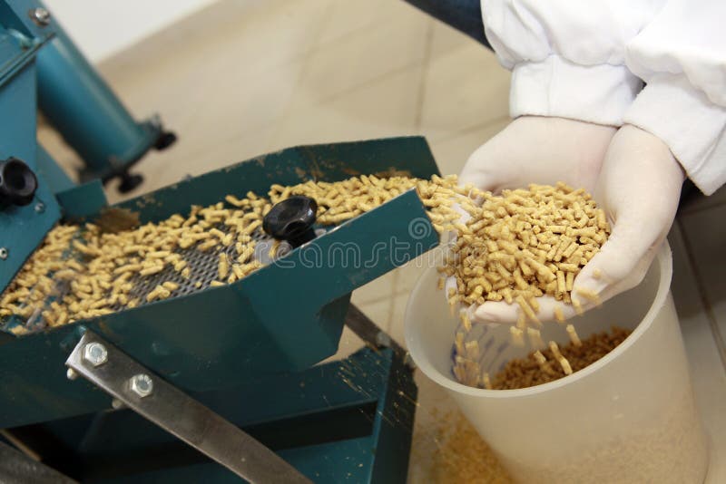 Alimentazione animale fotografie stock Alimentazione animale fotografie stock