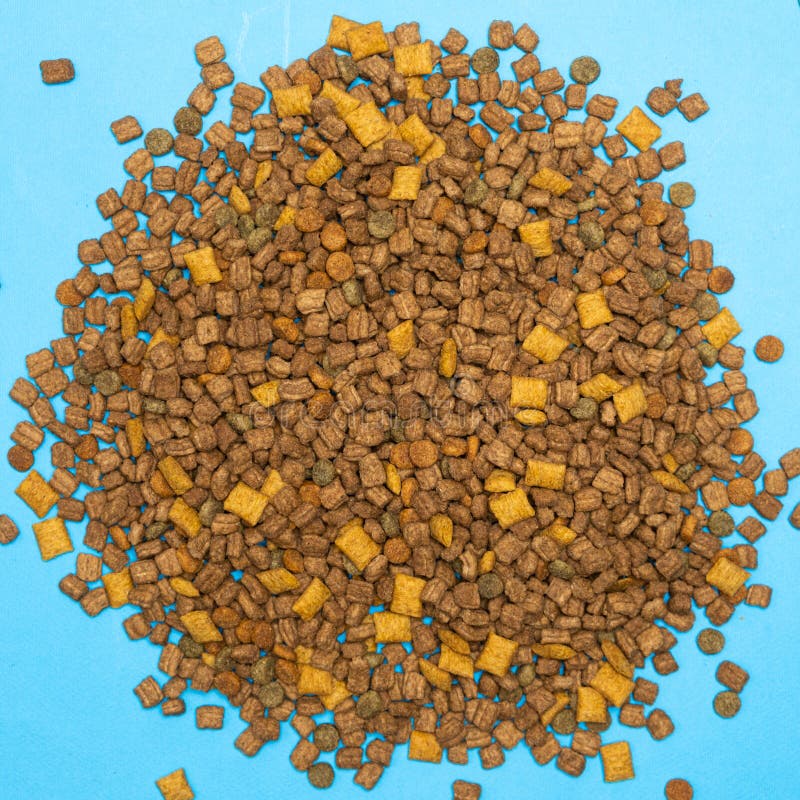 Alimenti secchi per gattini e gatti chiusi. una dieta completa per gatti immagini stock