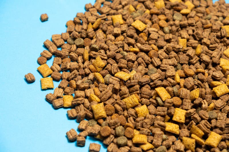 Alimenti secchi per gattini e gatti chiusi. una dieta completa per gatti immagine stock libera da diritti