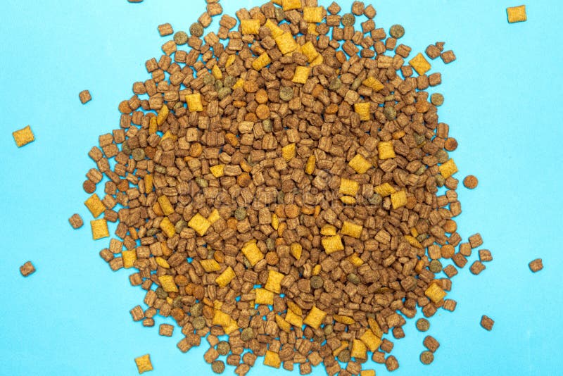 Alimenti secchi per gattini e gatti chiusi. una dieta completa per gatti immagini stock