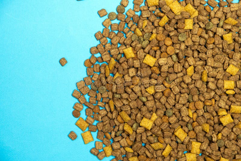 Alimenti secchi per gattini e gatti chiusi. una dieta completa per gatti fotografie stock libere da diritti