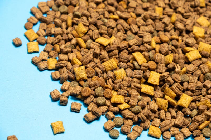 Alimenti secchi per gattini e gatti chiusi. una dieta completa per gatti fotografie stock libere da diritti