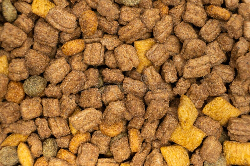 Cibo secco per gattini e gatti, primo piano. Una dieta completa per gatti immagine stock