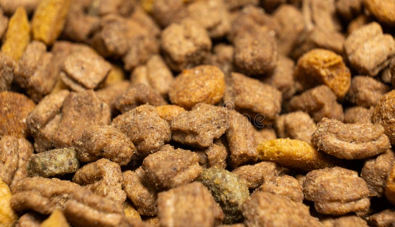 Alimenti secchi per gattini e gatti chiusi. una dieta completa per gatti fotografia stock libera da diritti