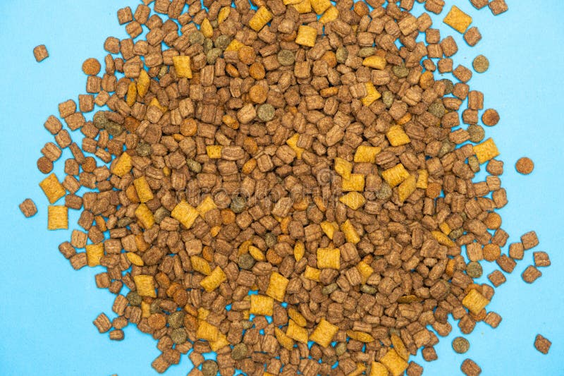 Alimenti secchi per gattini e gatti chiusi. una dieta completa per gatti immagini stock