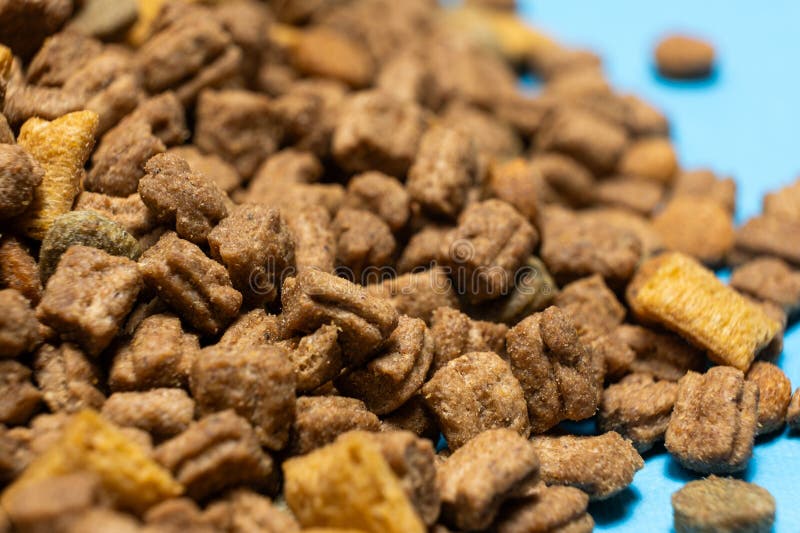 Alimenti secchi per gattini e gatti chiusi. una dieta completa per gatti fotografia stock libera da diritti