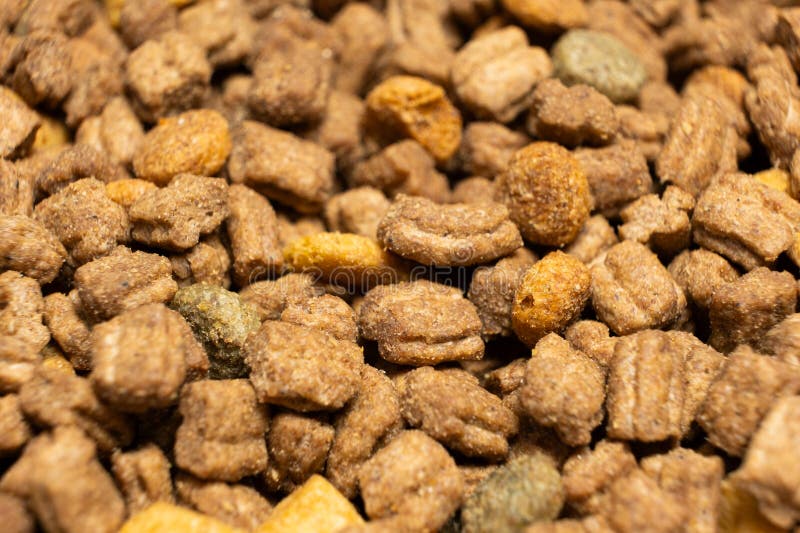 Cibo secco per gattini e gatti, primo piano. Una dieta completa per gatti immagine stock libera da diritti