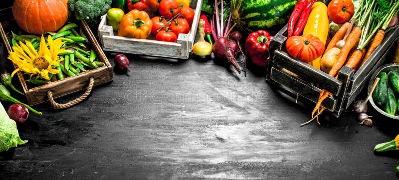 Cibo biologico. Verdure e frutta fresca in vecchie scatole fotografia stock