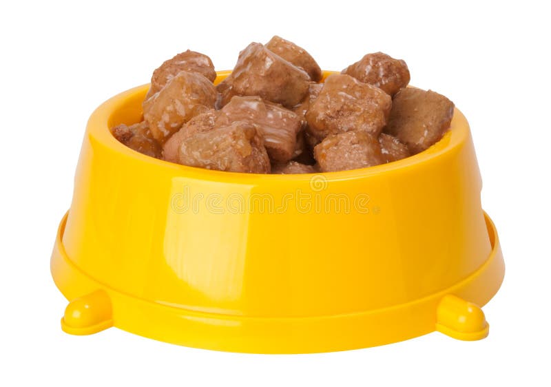 Alimento de cão Alimento de cão