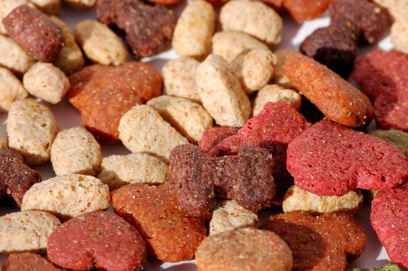 Alimento de perro imagen de archivo. Imagen de perro, formado 1344615