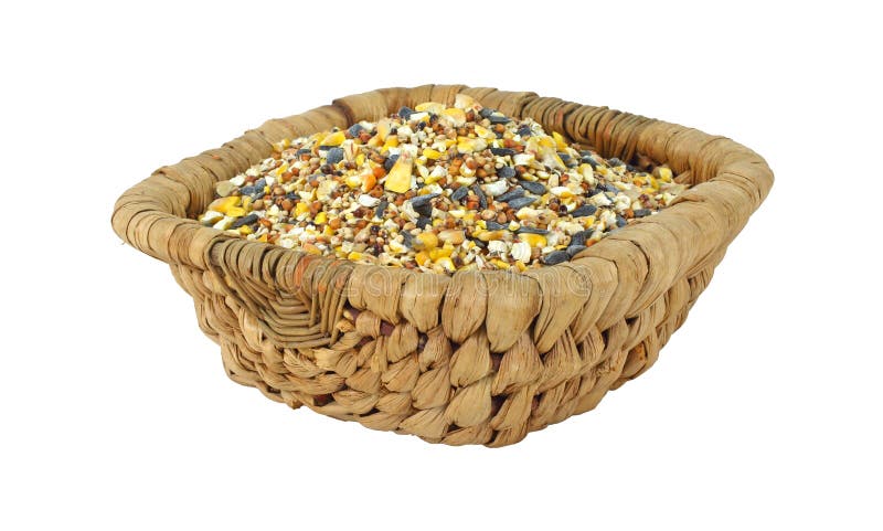 Alimento de pássaro selvagem na cesta de madeira imagem de stock