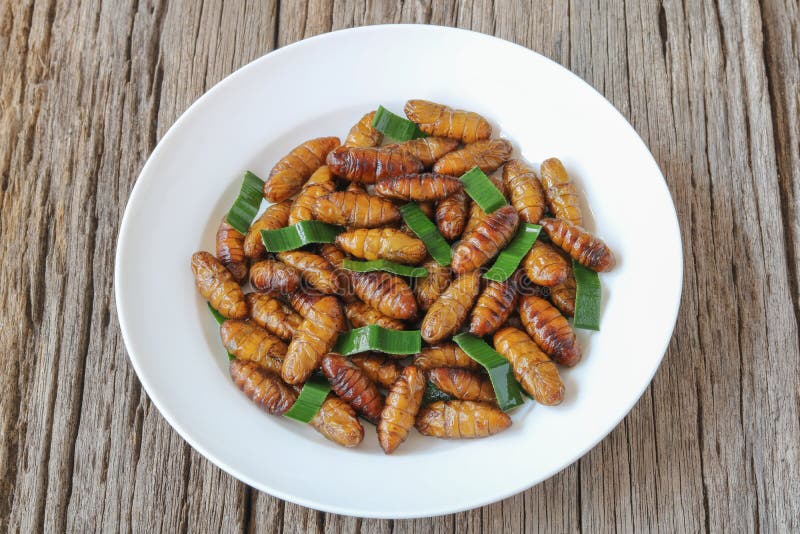 Alimento degli insetti Pupe fritte del baco da seta con pandan immagine stock libera da diritti Alimento degli insetti Pupe fritte del baco da seta con pandan immagine stock libera da diritti