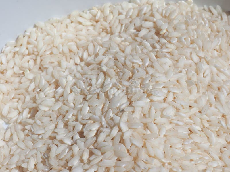 Alimento Del Riso Di Carnaroli Fotografia Stock Immagine di europeo