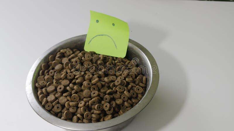 Alimento di cane su priorità bassa bianca è il cane macina grosso cattivo o buon immagine stock libera da diritti Alimento di cane su priorità bassa bianca è il cane macina grosso cattivo o buon immagine stock libera da diritti