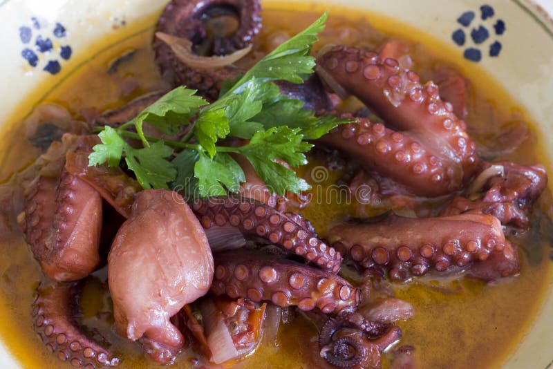 Alimento fresco del pulpo fotos de archivo libres de regalías Alimento fresco del pulpo fotos de archivo libres de regalías