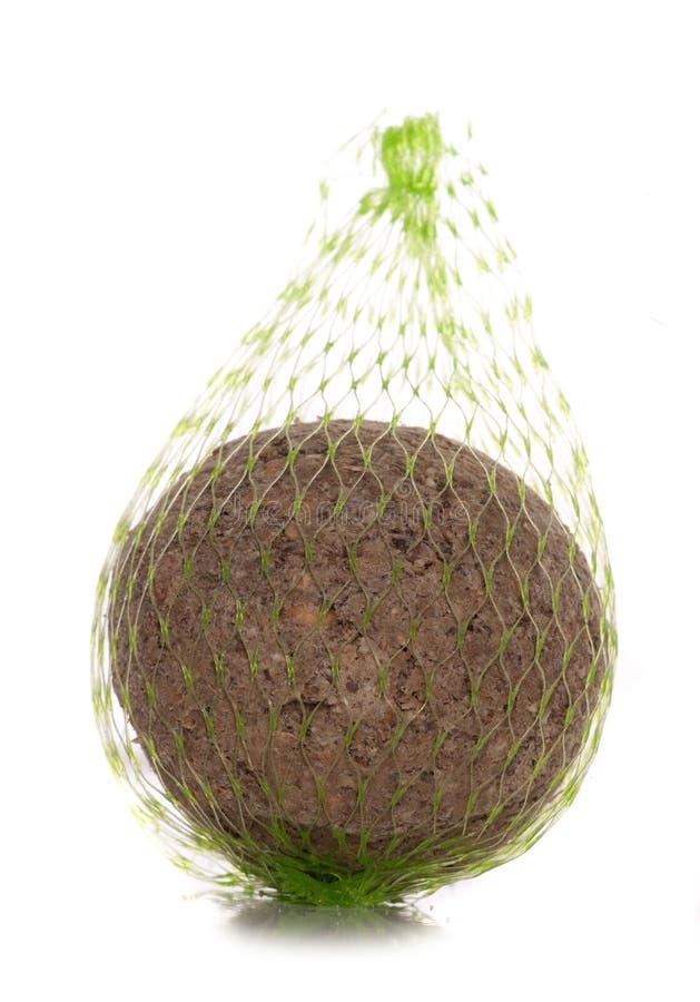 Alimento gordo da bola do pássaro selvagem imagem de stock royalty free