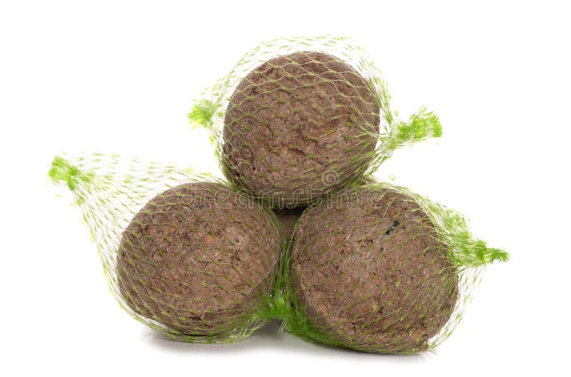 Alimento gordo das bolas do pássaro selvagem imagens de stock
