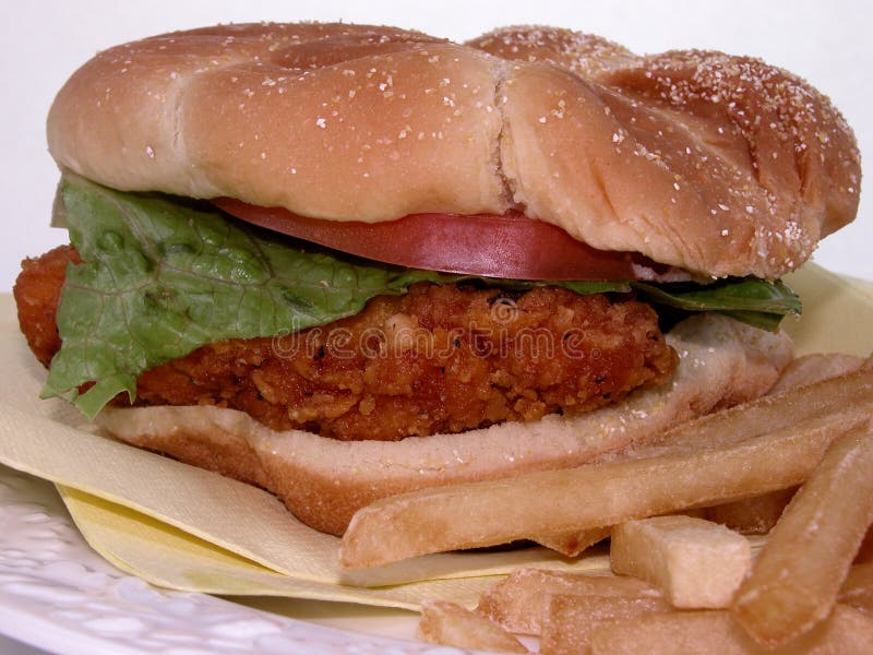 Alimento: Panino & fritture di pollo fritto fotografia stock Alimento: Panino & fritture di pollo fritto fotografia stock