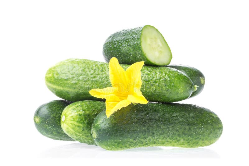 Alimento saudável orgânico Vegetais naturais do pepino verde fresco com a flor amarela isolada no fundo branco Feche acima da ima imagens de stock Alimento saudável orgânico Vegetais naturais do pepino verde fresco com a flor amarela isolada no fundo branco Feche acima da ima imagens de stock