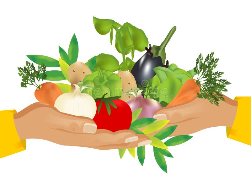Alimento saudável (vegetais), vetor dos cdr ilustração do vetor Alimento saudável (vegetais), vetor dos cdr ilustração do vetor