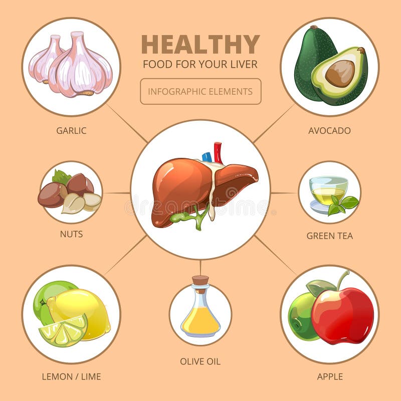 Alimentos saudáveis para o fígado Saúde médica ilustração do vetor Alimentos saudáveis para o fígado Saúde médica ilustração do vetor