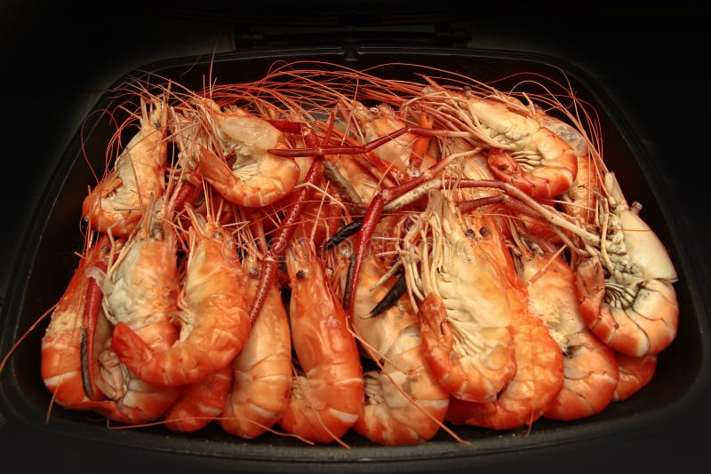 Aliste las gambas frescas grandes fluidas en cacerola imagenes de archivo