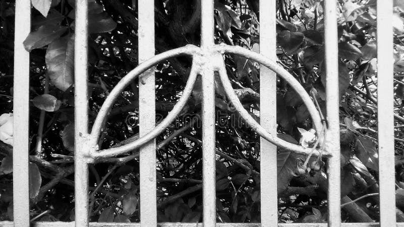 All'aperto fotografie stock libere da diritti