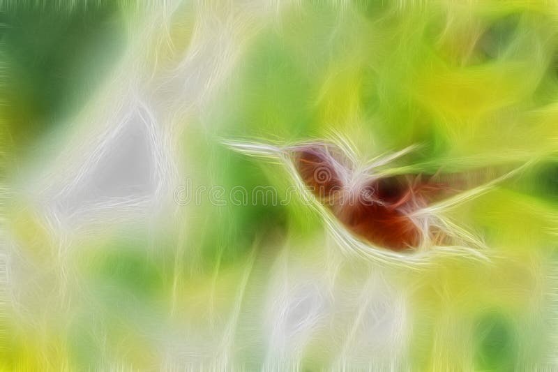 Allen Hummingbird In Flight photo libre de droits