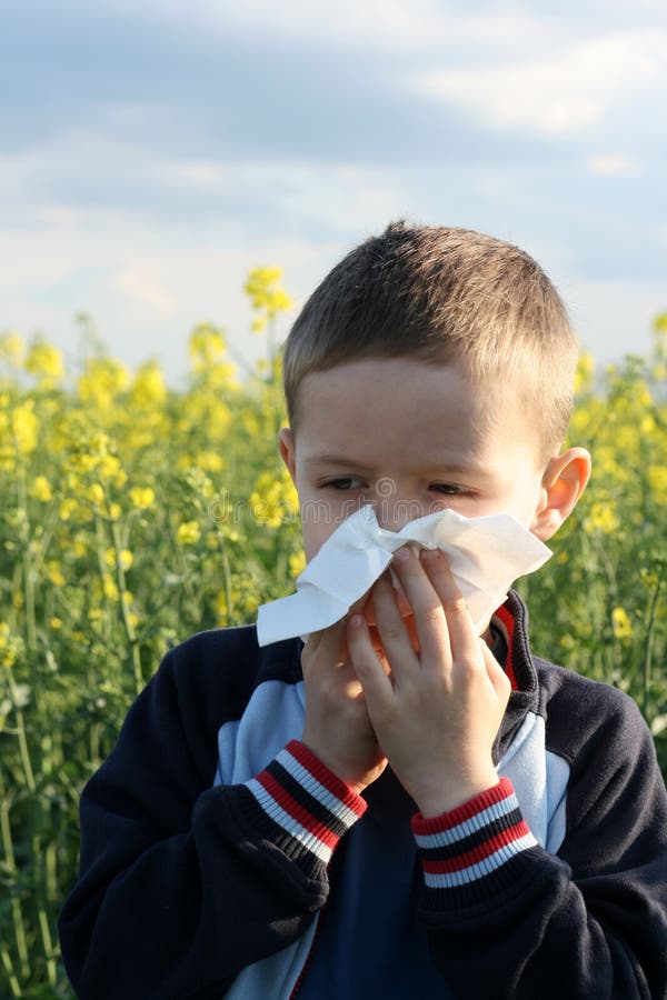 allergi allergi